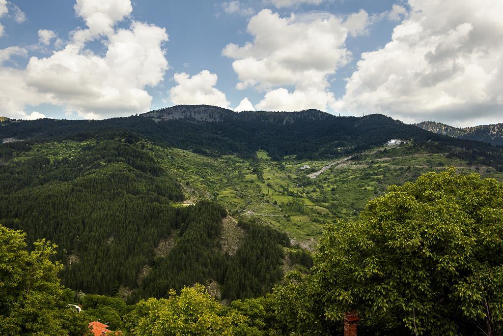 Aroma Dryos Spa & Eco Hotel メツォヴォ 部屋 写真