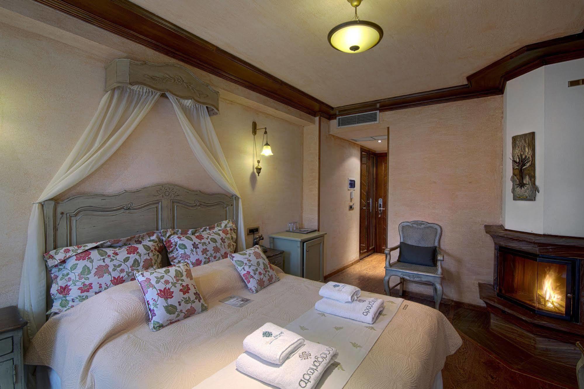 Aroma Dryos Spa & Eco Hotel メツォヴォ エクステリア 写真